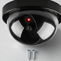 Dome Security Ceiling Camera