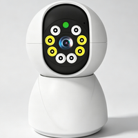 Indoor Pan Tilt Security Camera